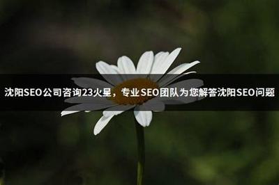 深度解析 如何甄別2024年正規SEO公司與深圳企業網站建設策略